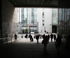 Livre Blanc pour l’emploi à domicile en Europe : dernière ligne droite avant la présentation définitive !