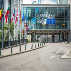 Communiqué de presse – EFFE appelle le Parlement européen à se saisir des PHS